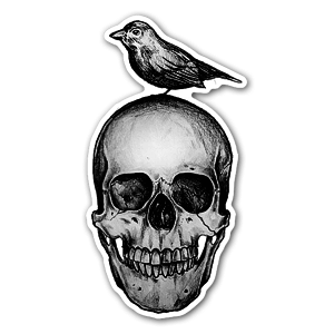 skull and bird sticker