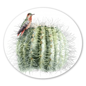 A sticker of a very beautiful cactus