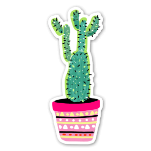 Cactus, Plant