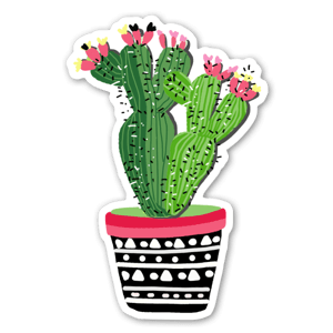 Cactus Plant