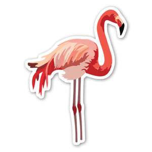 flamingo, bird, pink, tropical