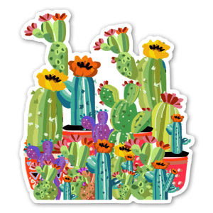 Cactus Garden