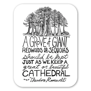 This sticker is based on Rick's pen & ink illustration series titled "Tree Drawings," and was inspired by this reverential Theodore Roosevelt quote; "A grove of giant Redwoods or Sequoias should be kept just as we keep a great or beautiful cathedral." It encourages us to care for nature as we would any sacred place. 