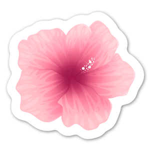 Very pink hibiscus flower