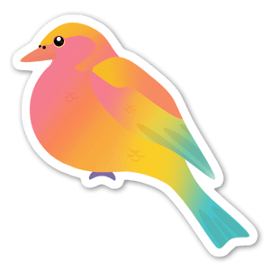 Rainbow bird