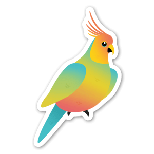 Rainbow parrot