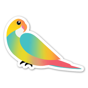 Rainbow parrot