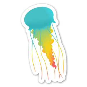 Rainbow jellyfish