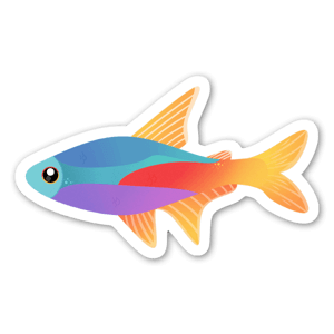 Cute neon tetra