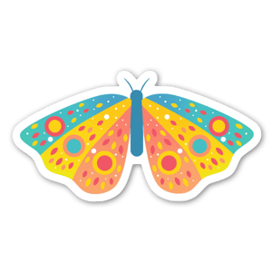 Rainbow butterfly 