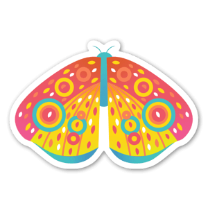 Rainbow butterfly 