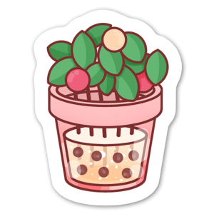 Boba plant