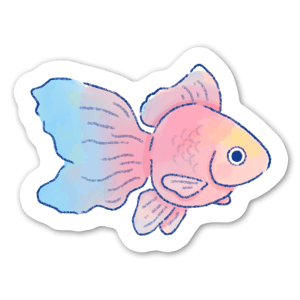 Rainbow fish