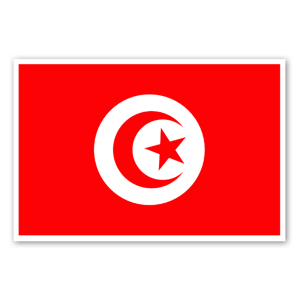 Tunisia flag as a sticker 