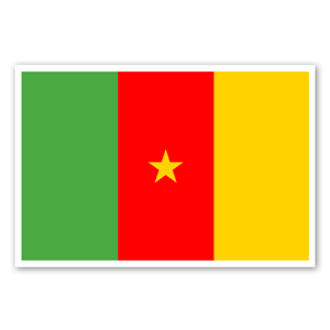 Flag of Cameroon as a sticker 